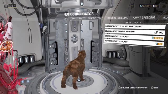 Warframe: New Red Kubrow - Named Dekoy D. Blatt & Imprinting. Valkyr Prime! смотреть онлайн
