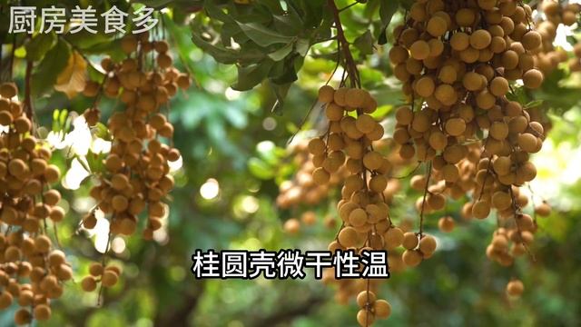 美國公佈的長壽水果排行，蘋果竟然沒有上榜，它卻可以輕鬆延壽15年，可惜很多人都還不知道，【廚房美食多】