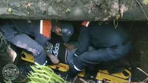 спасатели Томска