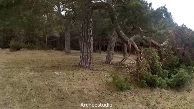 Берег Чудского озера. Гдовский район Псковской области. Аэросъемка смотреть онлайн