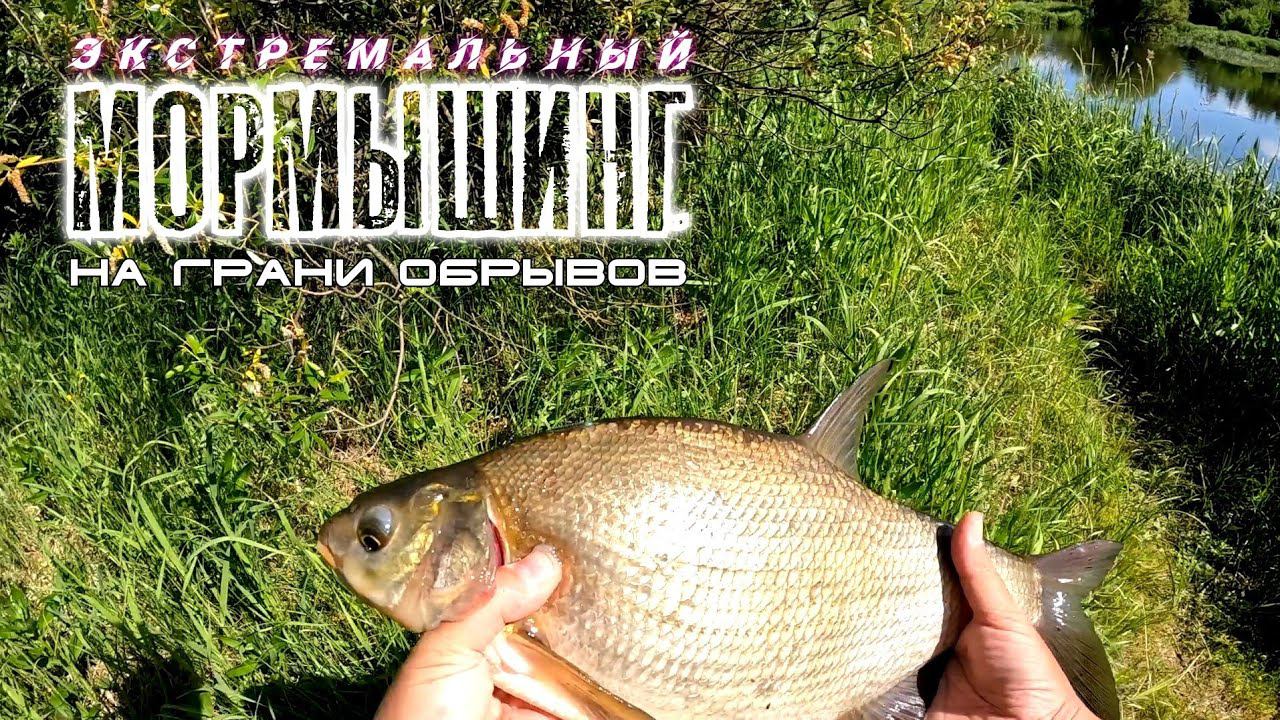Мормышинг по-взрослому. За лещами с ультралайтом. MATAGI TWA662XUL