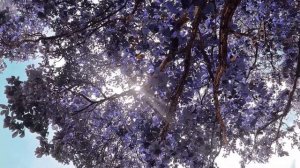 Гурии - кто же они? | Гурии в Исламе