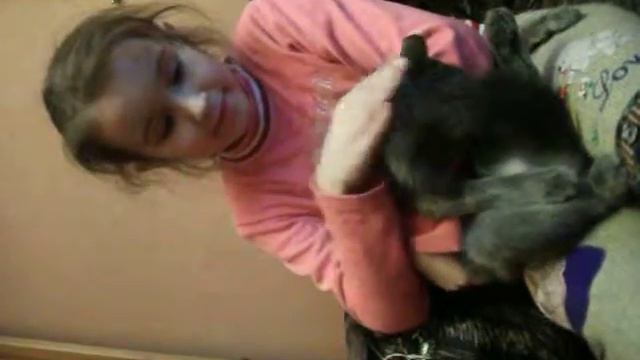 Девочка гладит очень агрессивную кошку. смотреть онлайн