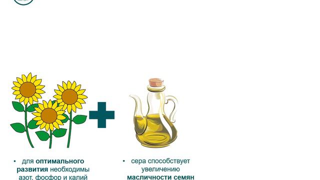 Как получить высокий урожай подсолнечника? NPKS 19:16:8:3 смотреть онлайн