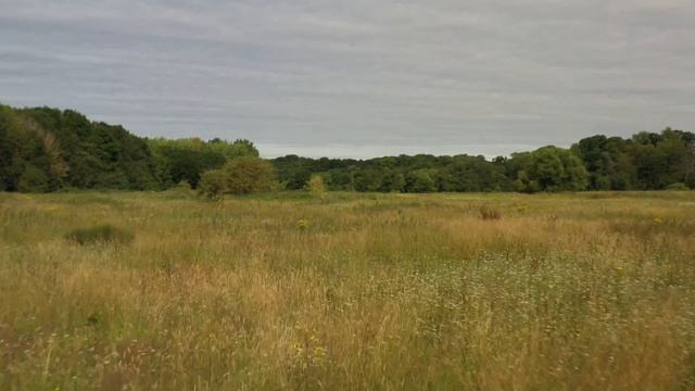 Огненные Саламандры через Галахири Энергетические изменения смотреть онлайн