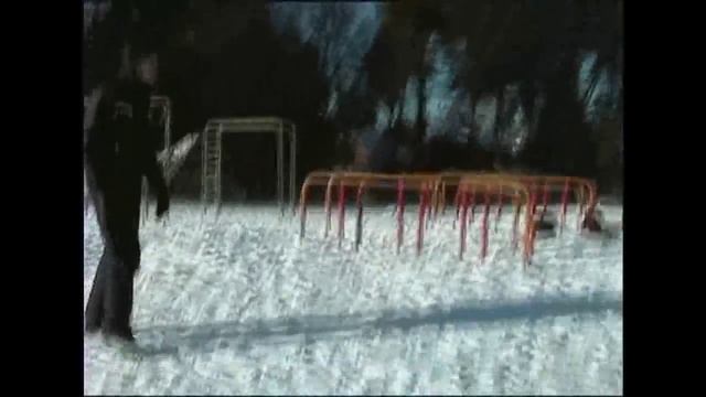Нарезка танцев в исполнении участников OWE =)