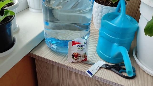 Спатифиллум, Удобрение для Долгого Цветения