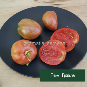 Гном Грааль