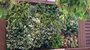 Озеленение частной летней террасы (веранды)