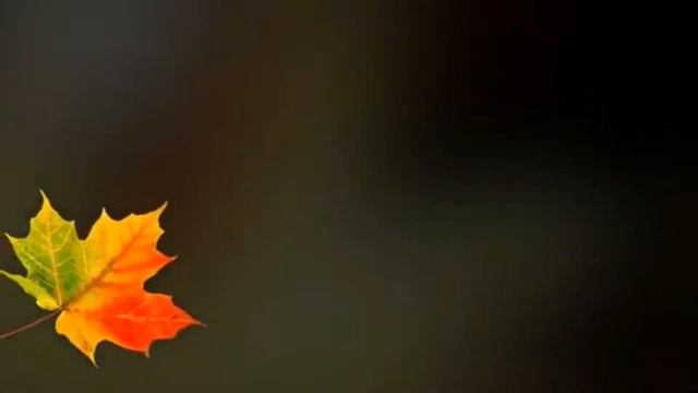 ИНТЕРЕСНО! ИДЕИ ПОЗДРАВЛЕНИЯ  №7 Осенний бал школьников. смотреть онлайн