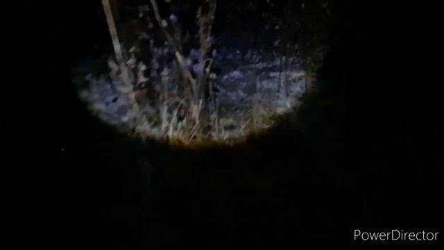 ТЕСТ ФОТОЛОВУШКА ФИЛИН 120. 3G. УСТАНОВКА НА КУНИЦУ +ЖИВОЛОВУШКА. смотреть онлайн