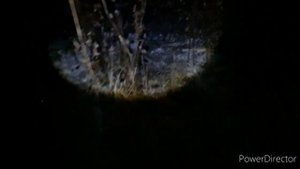 ТЕСТ ФОТОЛОВУШКА ФИЛИН 120. 3G. УСТАНОВКА НА КУНИЦУ +ЖИВОЛОВУШКА.