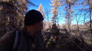 Охота на Чубуку в Оймяконье или по другому "Ыт-атаҕын-тутуу"