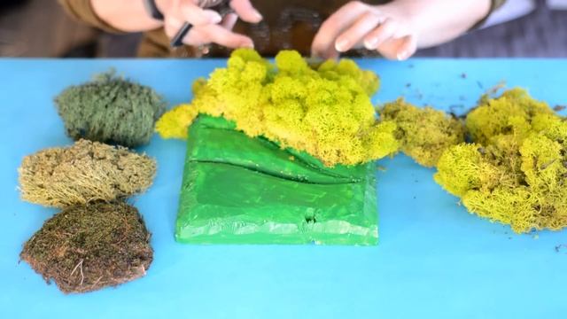 Картина из живого мха своими руками/ Не требует ухода / Трендовый декор интерьера смотреть онлайн