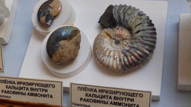 Музей геологоразведки
