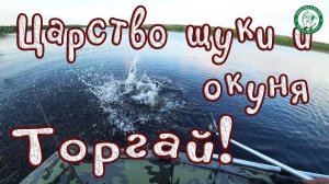 ЦАРСТВО ОГРОМНЫХ ЩУК И КРУПНЫХ ОКУНЕЙ! ТОРГАЙ, ТРИ ДНЯ И НОЧИ НА РЕКЕ ШОРТАНДЫ РЫБАЛКА В КАЗАХСТАНЕ!