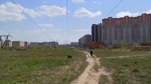 Москва. Некрасовка