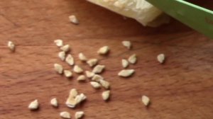 Помело фрукт. Как собрать семена?