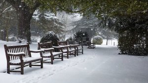 Classical Music | Bach Christmas Oratorio BWV 248 by Peter Schreier