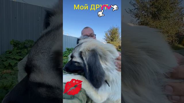 Мой Друг❤️👍