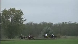 скачка 5 скачки в ростовской области, региональные скачки, орловский район, чистокровные лошади 201