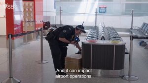 Unattended baggage | Inside Sydney Airport  | Stream free on SBS On Demand