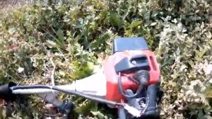 Триммер BRAIT