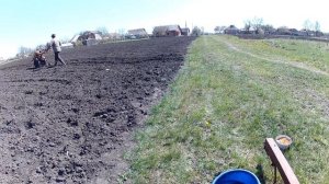 #Мотоблок тяни-толкай посев кукурузы