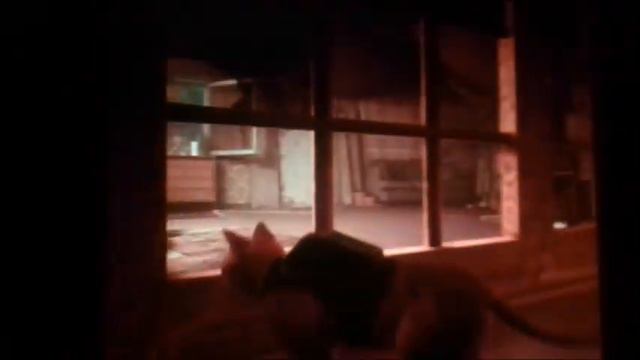 Прохождение игры Стрей. Часть 2 смотреть онлайн