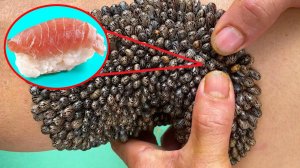 Эта Еда Может Тебя Убить! Самые Опасные Продукты в Мире