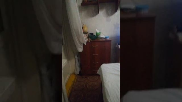 Как вызвать фею желаний!!! смотреть онлайн