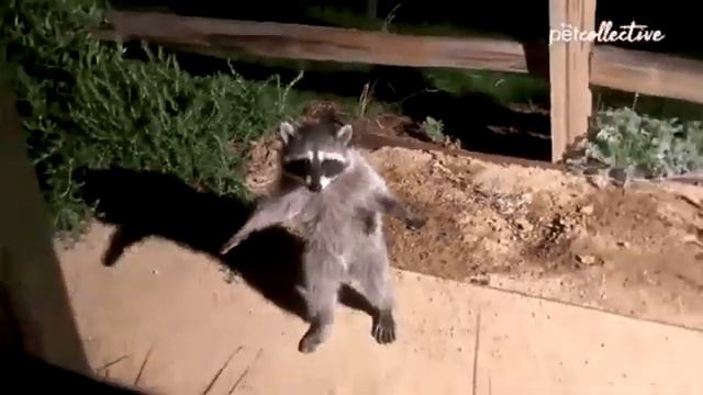 Почему он это делает смотреть онлайн