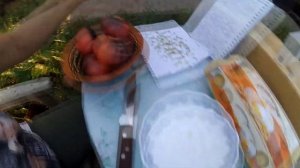 Сорт томатов: Голубая красавица . Обзор сорта.