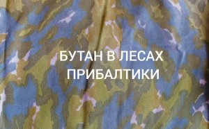 Бутан в лесах Прибалтики. Как десантники 7 ВДД новый камуфляж обкатывали. Проект Барвиха