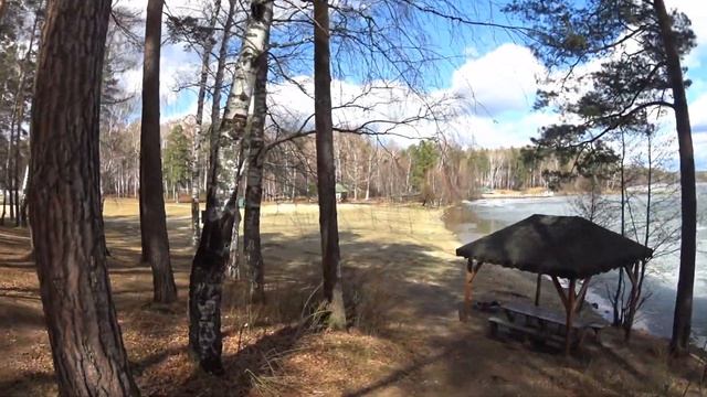 ПРОГУЛКА У ОЗЕРА БАЛТЫМ смотреть онлайн