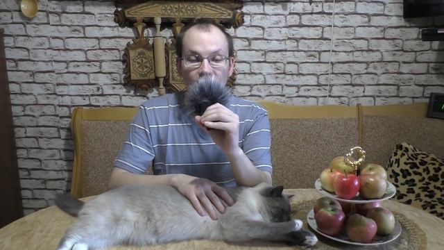 АСМР пиратки VS лицензия/шепот/whisper смотреть онлайн