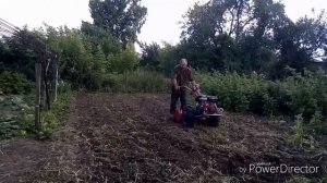 Фреза Мотор Сич, сорняки, ежевика.