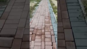 Мантурово Костромская область