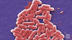 Чем опасно употребление водопроводной воды. Что будет если пить воду из-под крана.