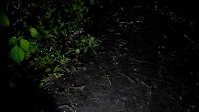 ГДЕ ВЗЯТЬ ВЫПОЛЗКИ !!! смотреть онлайн