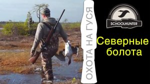 Охота на гусей. Северные болота.
