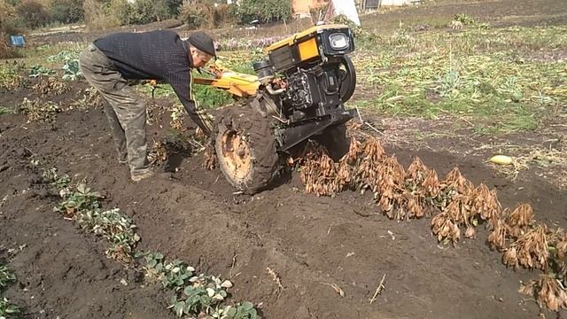 Копаю арахис. смотреть онлайн