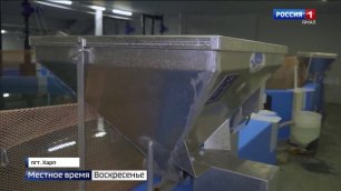 Ямальский рыбоводный завод поставит более 4 тонн форели на прилавки магазинов региона ("Вести Ямал")