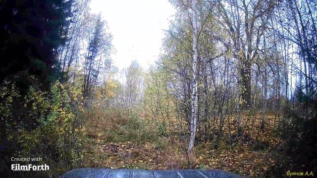 Д. Горюшкино / Макарьевский р-он./ смотреть онлайн