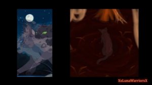 The Angry River: A Dark Forest Warrior Cats MAP COMPLETE