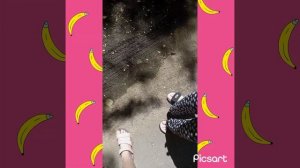 Эксперементы над челеком