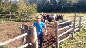 купил высокоудойных коров/ в хозяйстве прибыло