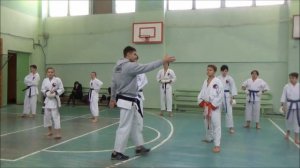 Семинар по кумитэ . practicing kumite