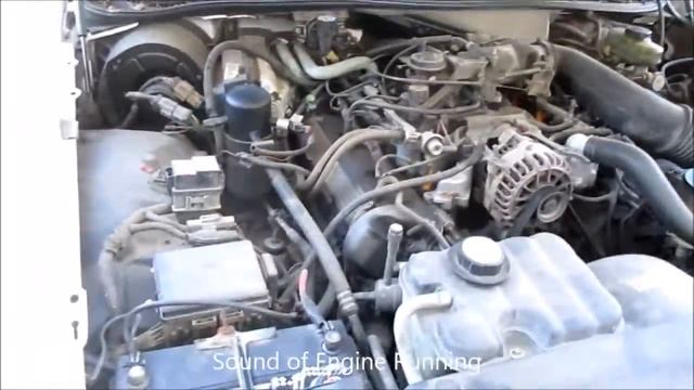 PUBLIC ONLINE AUCTION: 1999 Ford Crown Victoria Police Interceptor смотреть онлайн