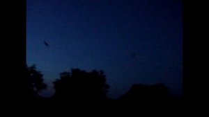 Летучие мыши в деревне | Bats in the countryside